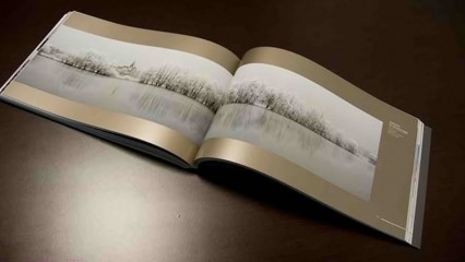 Panoramabuch 2010 erschienen